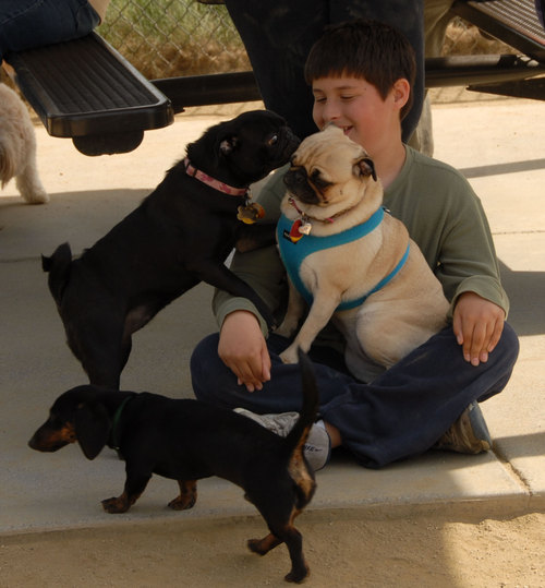 Calypso Returns - April 8, 2007