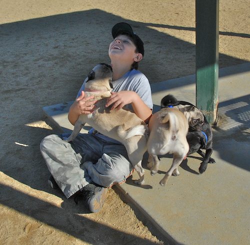 Rio and Sheba at the Mountain View Dog Park - October 21 2007!