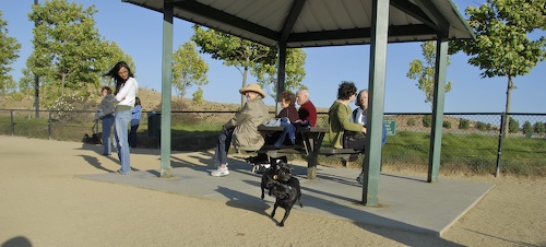 Mountain View Dog Park May 20, 2007