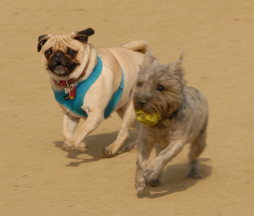 Calypso Returns - April 8, 2007