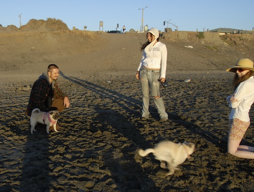 Puppy Play at Ocean Beach