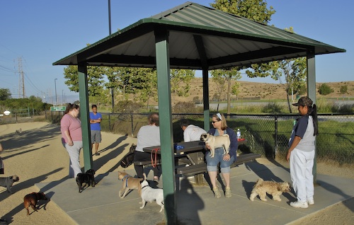 June 17, 2007 Mountain View Dog Park