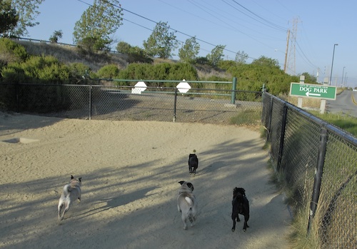 Mountain View Dog Park May 20, 2007