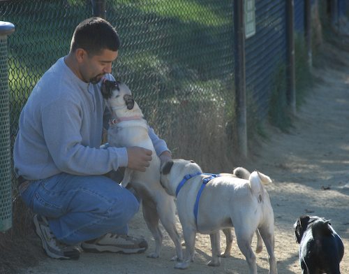 Rio and Sheba at the Mountain View Dog Park - October 21 2007!