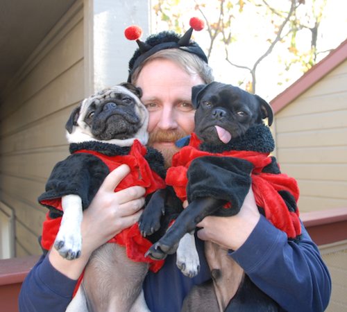 Rio and Sheba Lady Pugs - Happy Halloween - October 31 2007!