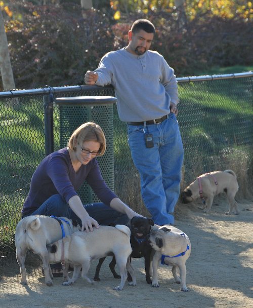 Rio and Sheba at the Mountain View Dog Park - October 21 2007!
