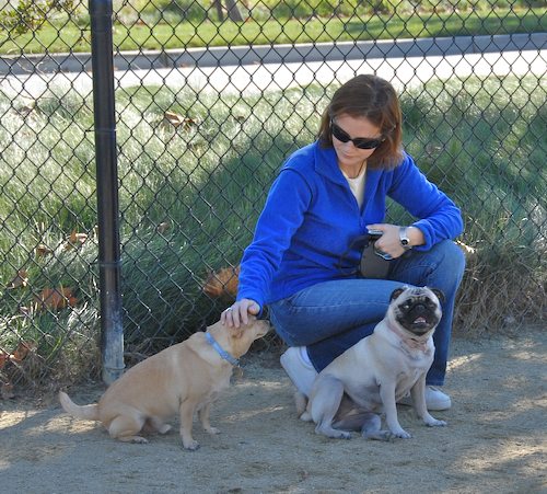 Rio and Sheba at the Mountain View Dog Park - October 21 2007!