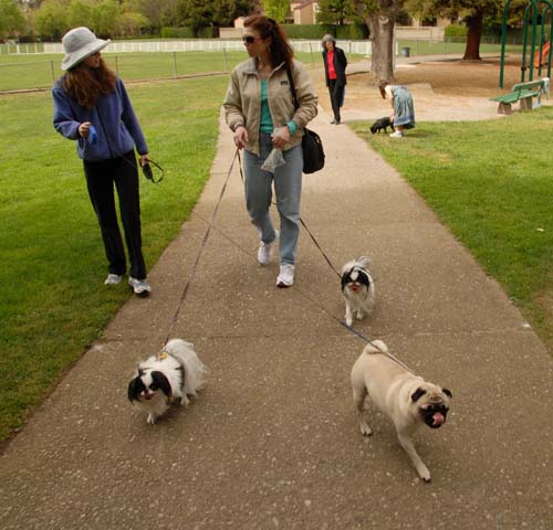 3 years of Sheba in Palo Alto - April 7, 2007