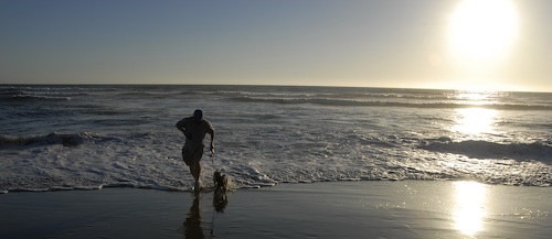 Puppy Play at Ocean Beach