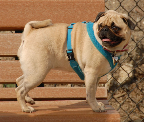 Calypso Returns - April 8, 2007