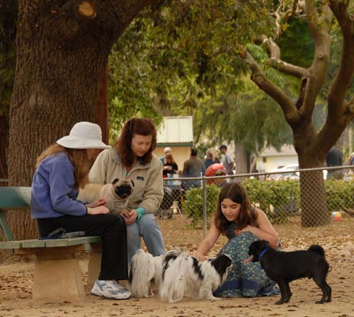 3 years of Sheba in Palo Alto - April 7, 2007