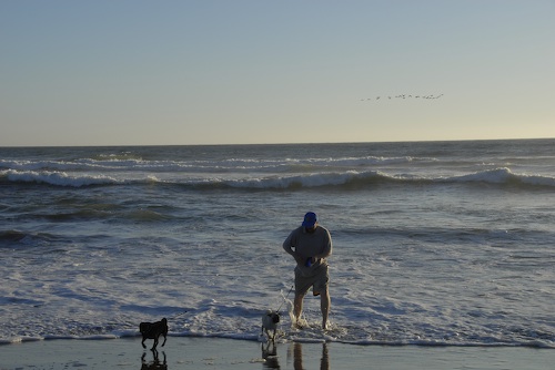 Puppy Play at Ocean Beach