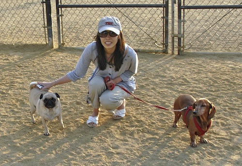 Mountain View Dog Park May 13, 2007