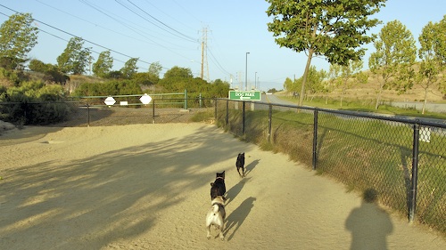 Mountain View Dog Park May 13, 2007