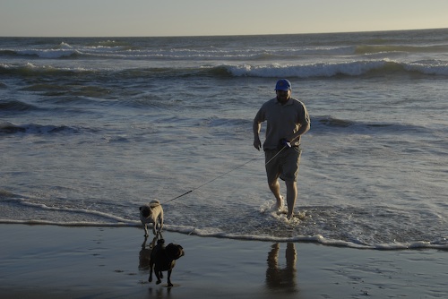 Puppy Play at Ocean Beach