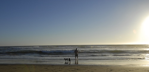 Puppy Play at Ocean Beach