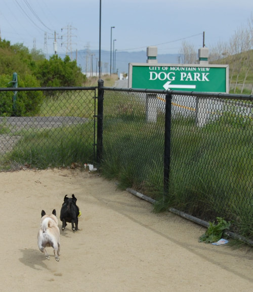 Mountain View Dog Park - April 1, 2007