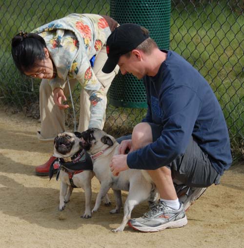 Mountain View Dog Park - April 1, 2007