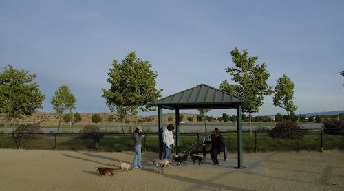 June 3, 2007 Mountain View Dog Park