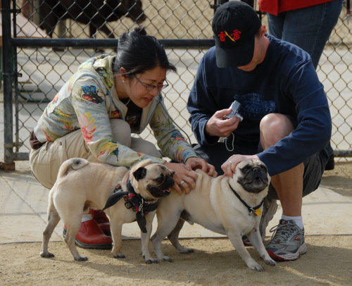 Mountain View Dog Park - April 1, 2007