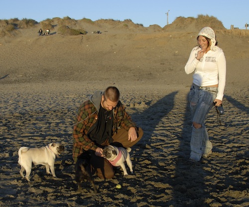 Puppy Play at Ocean Beach