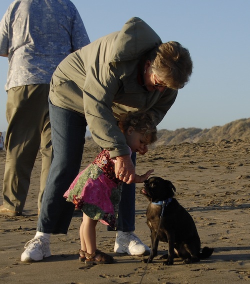 Puppy Play at Ocean Beach